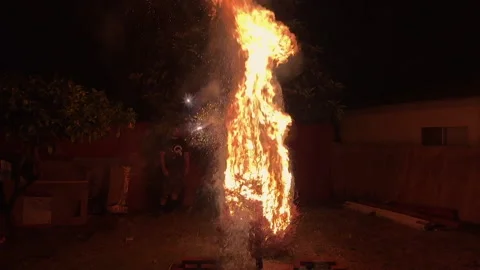 Slow Motion Dry Christmas Tree Fire Stock Footage 134426351