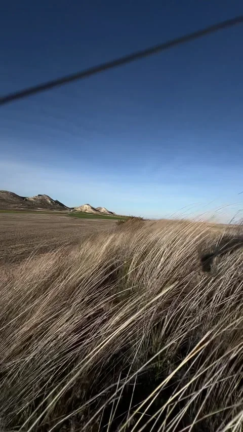 Slow motion dry grass moving in wind with mountains, rural Spain landscape Stock Footage 331729782