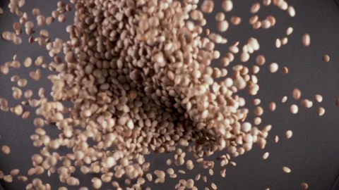 Slow motion dry ingredient groat falls from under the camera Stock-Footage 90900335