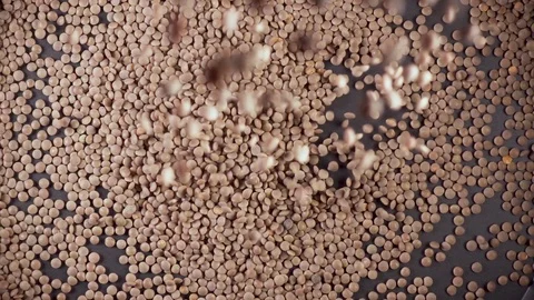 Slow motion dry ingredient groat falls from under the camera Video stock 90900538