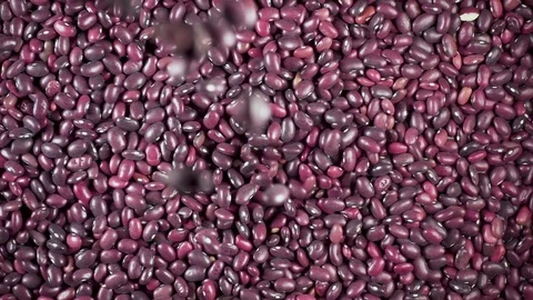 Slow motion dry ingredient groat falls from under the camera Video stock 90901225