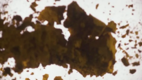 Slow motion dry spices fall down Stock Footage 90459453