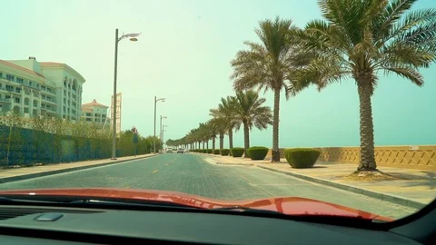 Slow Motion Dubai Palm Trees Driving Stock Footage 92859513