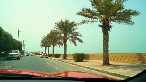 Slow Motion Dubai Palm Trees Driving 2 Stock Footage 92859569