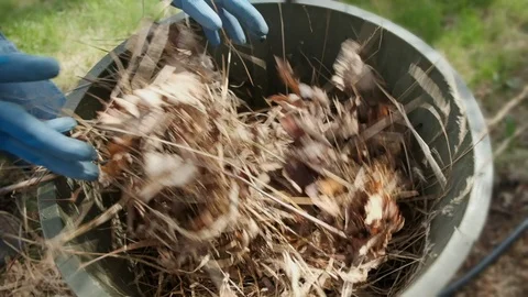 Slow Motion of Dumping Spring Garden Waste in Trash Can Video stock 123916611