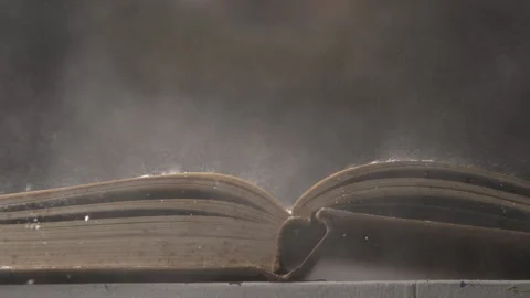 Slow Motion of Dust Blowing Off of an Open Book Stock Footage 270398748