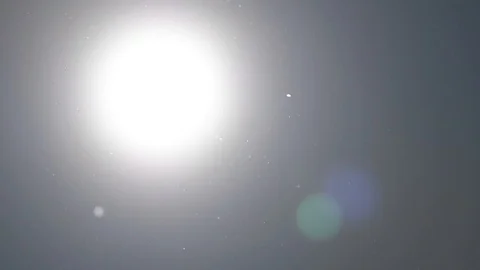Slow motion - Dust particles and pollens flying in the sky. Sun flares. Vídeo Stock 89653325