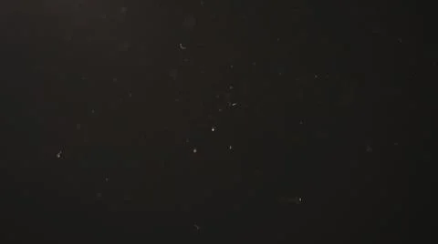 Slow motion dust particles float in warm light on black background Stock Photos
