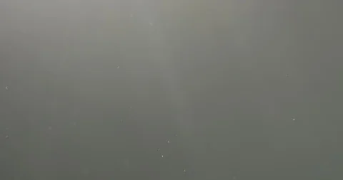 Slow motion dust particles floating over... | Stock Video | Pond5