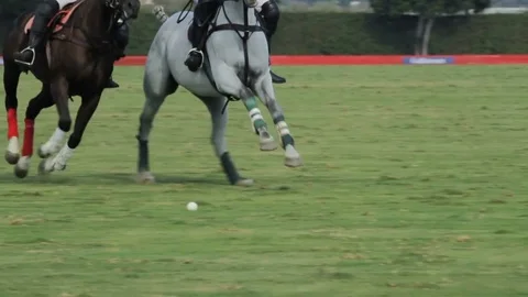 Slow motion effect of two polo players chasing the ball Stock Footage 82885245