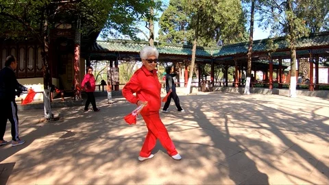 Slow motion of An elder lifestyle doing Martial Arts Exercise  Stock Footage 105434833