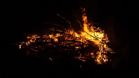 Slow Motion - Embers and Coals Of Bonfire Burn Stock Footage 195281644