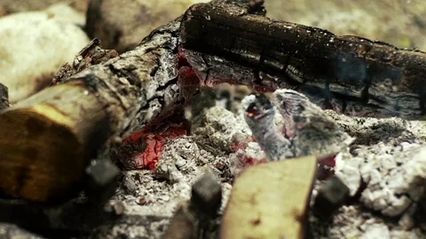 Slow Motion Embers in Old Campfire Stock Footage 70211687