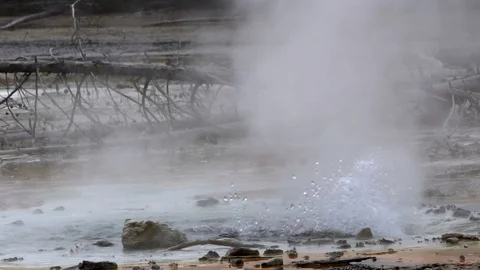 Slow Motion Erupting Geyser Video stock 76951419