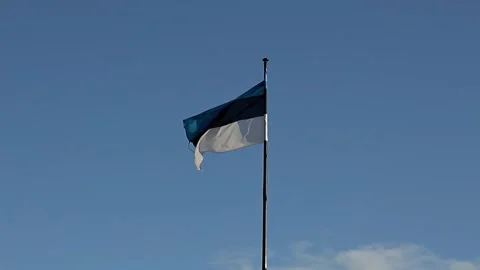 Slow Motion Estonian Flag Stock Footage 336497617