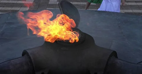 Slow motion of eternal flame monument at grave of unknown soldier. Stock Footage 221721631