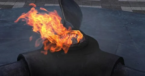 Slow motion of eternal flame monument at grave of unknown soldier. Stock Footage 221721690