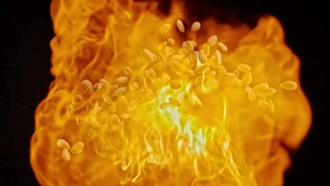 Slow motion explosion of almonds flying in flames Vídeo Stock 148180069