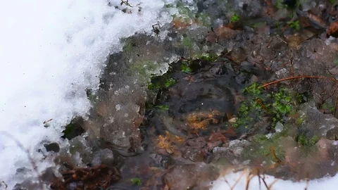 Slow motion of fall of water drops in puddle with snow around Stock Footage 84981961
