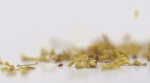 Slow motion falling blossom Stock Footage 33801116