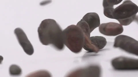 Slow motion falling cacao beans Stock Footage 33801079