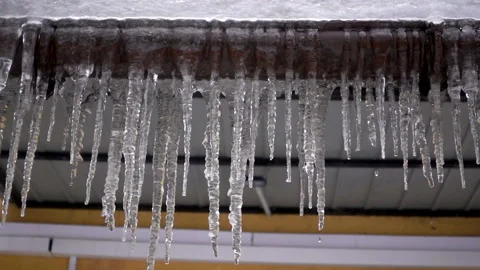 Slow motion of falling drops of water from melting icicles. Stock Footage 87098567