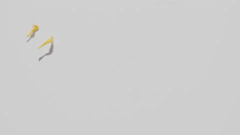 Slow motion falling dry yellow flowers to white desk. Top view Stock Footage 133231896