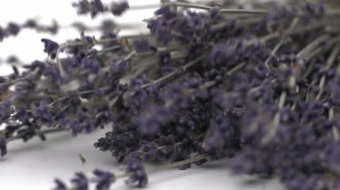 Slow motion falling lavender Stock Footage 33801715