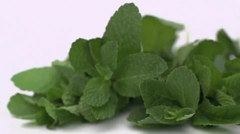 Slow motion falling mint Stock Footage 33801795