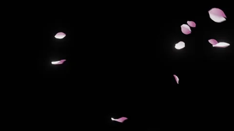 Slow Motion Falling Petals Overlay for Cinematic Video 스톡 동영상 326195234