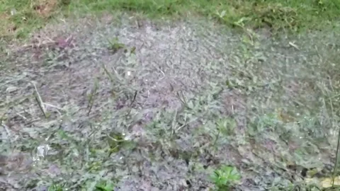 Slow motion of falling raindrops  Stock Footage 259833054