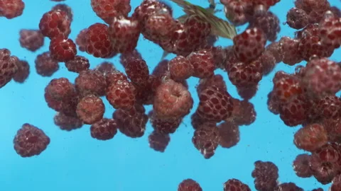 Slow motion. Falling red raspberry into the water. Floating berry underwater. 動画素材 135525128