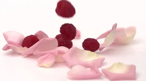 Slow motion falling rose leaves and raspberries Stock Footage 33801978