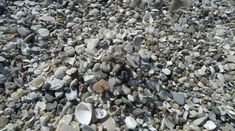 Slow motion of Falling  Sea Pebbles in the sand Video stock 62303710