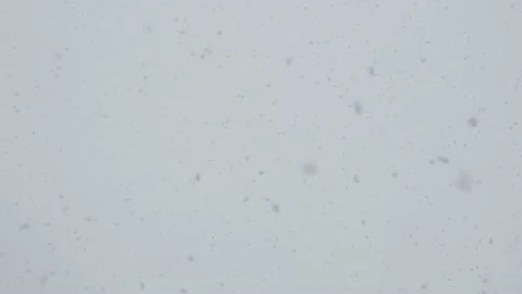 Slow motion of falling snow against sky and winter forest. Look up View in 動画素材 154102508