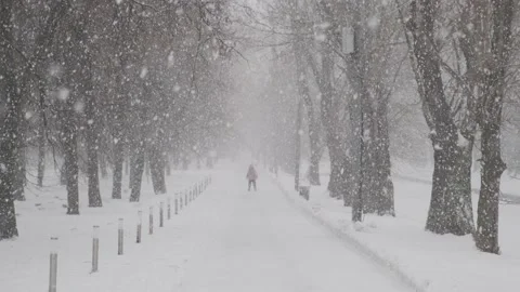 Slow motion of falling snow against sky and winter forest. Look up View in Video stock 154120696