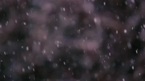 Slow motion of falling snow. Blurred winter background. Stock Footage 148156138