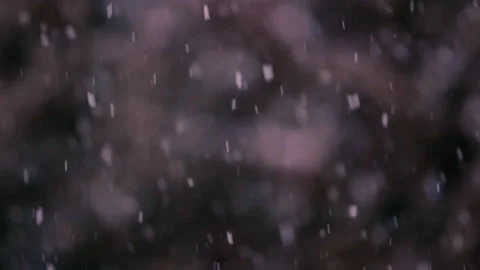 Slow motion of falling snow. Blurred winter background. Stock Footage 148158900