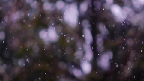 Slow motion of falling snow. Blurred winter background. Snowing dream. Stock Footage 148160239