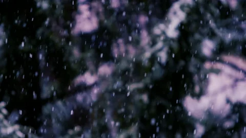 Slow motion of falling snow. Blurred winter background. Stock Footage 148161175