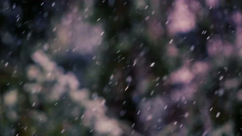 Slow motion of falling snow. Blurred winter background. Video stock 148161489