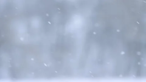 Slow motion of falling snow, blurred background in winter, fabulous season. Stock Footage 159792309