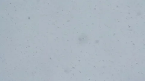 Slow motion of falling snow, blurred background in winter. Stock Footage 170939307