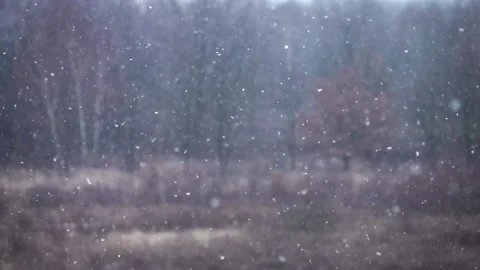 Slow motion of falling snow, blurred background in winter. ProRes 422 HQ. Stock Footage 229724495