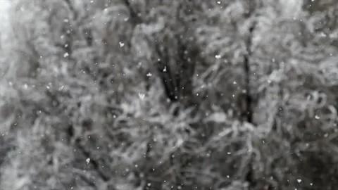 Slow Motion Of Falling Snow Stock-Footage 231058287