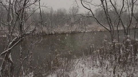 Slow motion. falling snow on trees and river Stock Footage 142259169