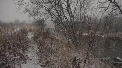 Slow motion. falling snow on trees, river and path Stock Footage 142259193