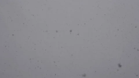 Slow motion of falling snow. Winter cold weather. Stock Footage 132932855
