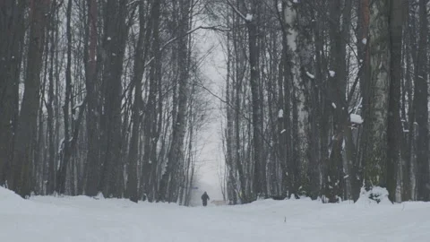 Slow motion of falling snow in winter park. Winter cold weather. Stock Footage 134145345