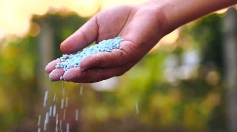 Slow motion farmer hand pouring chemical plant fertilizer Stock Footage 47240834